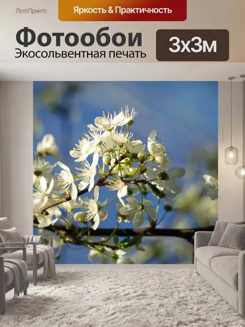 Фотообои Флора