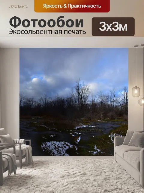 Фотообои Лес