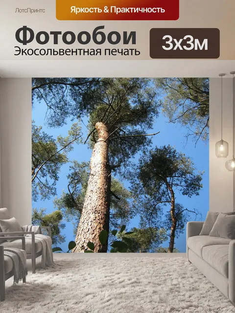 Фотообои Сосна