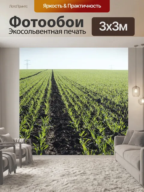 Фотообои Сельское хозяйство