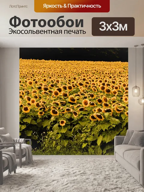 Фотообои Подсолнухи