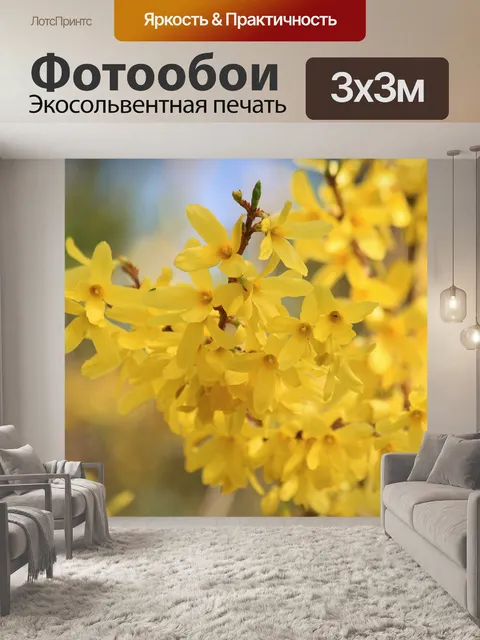 Фотообои Форсайтия