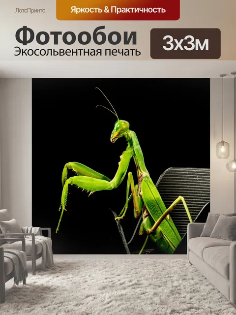 Фотообои Богомол