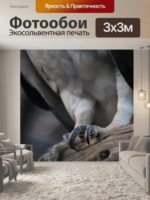Фотообои Eagle Когти