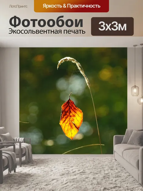 Фотообои Падение