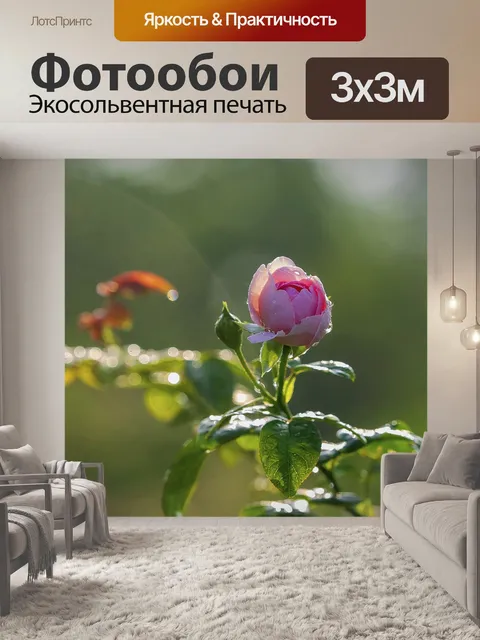 Фотообои Роза