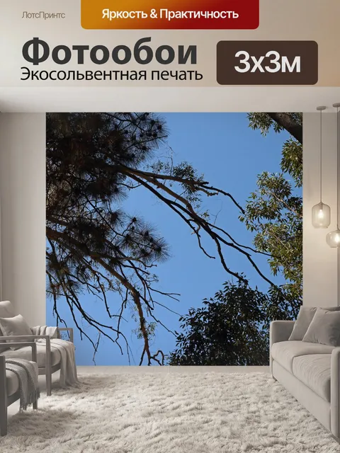 Фотообои ветви разных деревьев