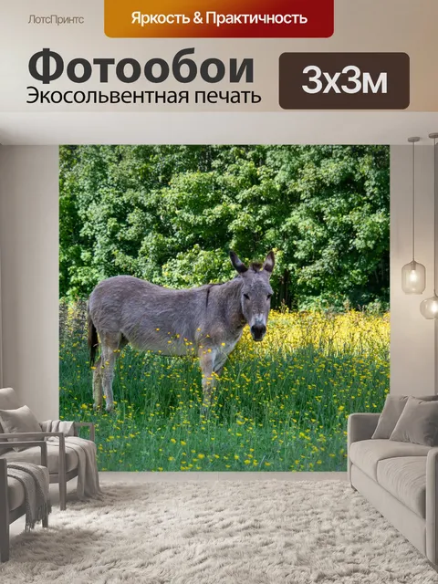 Фотообои Осел