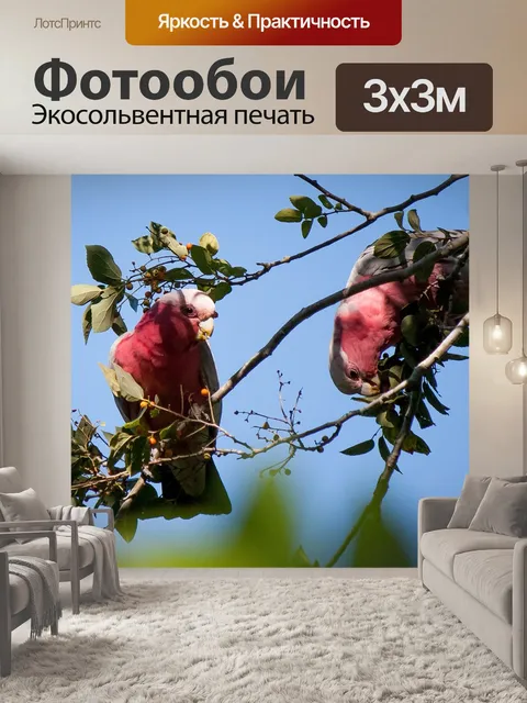 Фотообои Птицы
