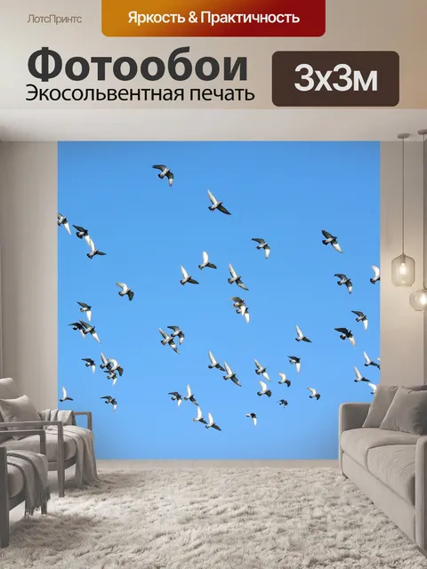 Фотообои Летающих птиц