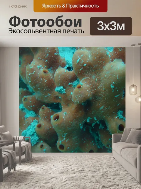 Фотообои Коралловый риф