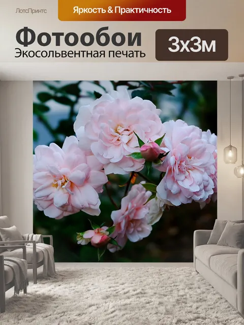 Фотообои Розы