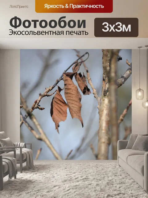 Фотообои Листья
