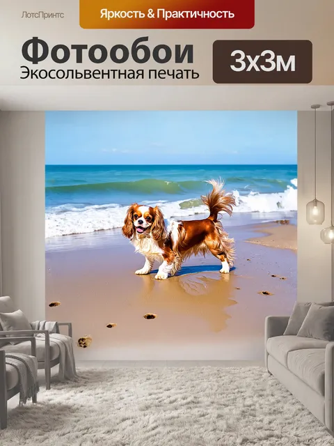 Фотообои веселая собака, кавалер кинг чарльз спаниель, играет на пляже, где волны нежно накатываются на песок