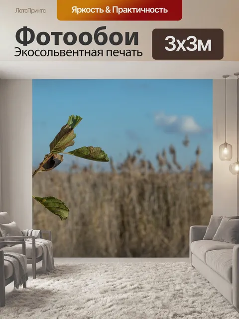 Фотообои Озеро