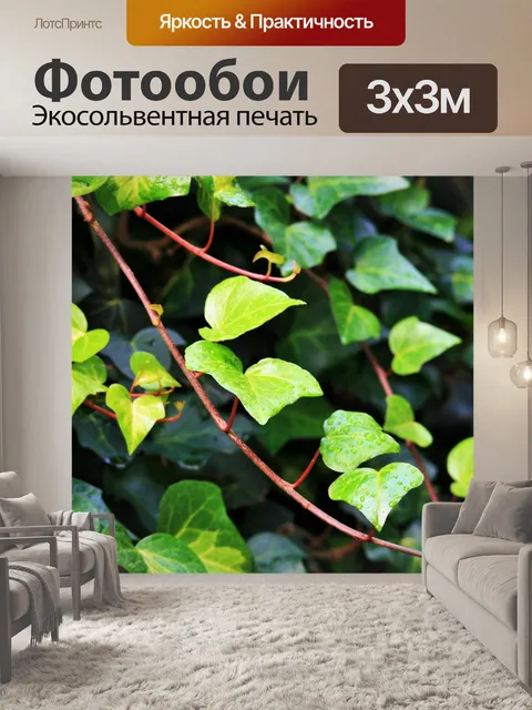 Фотообои плющ лианы