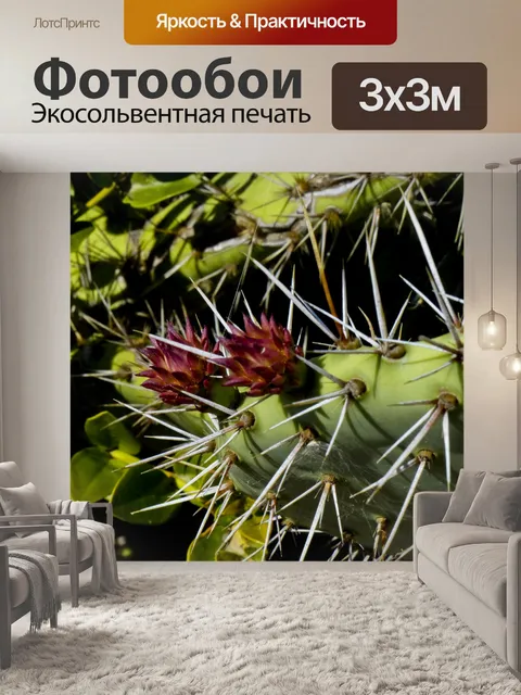 Фотообои Колючая груша Кактус Блум