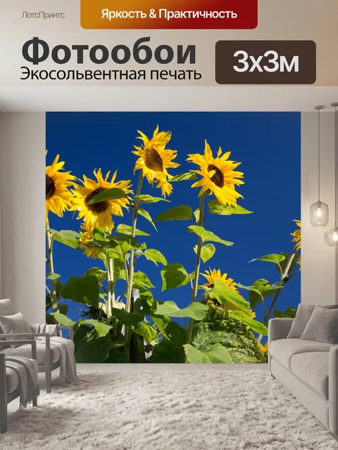 Фотообои Подсолнухи и голубое небо