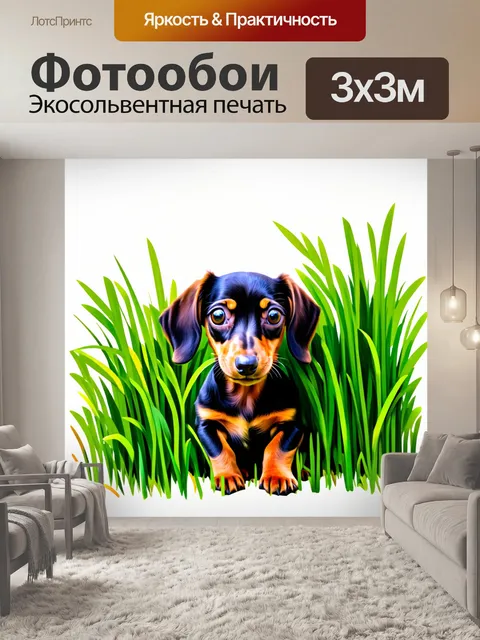 Фотообои щенок таксы прячется в высокой траве, его маленькие ушки виднеются среди зелени