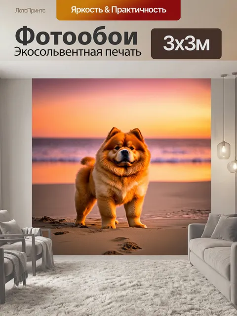 Фотообои чау-чау, позирующий на пустынном пляже при закате, включая оранжевые и розовые оттенки на небе и водной глади