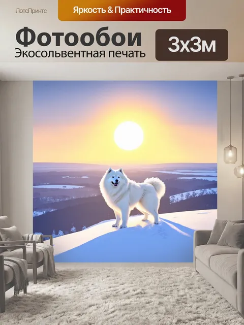 Фотообои зимний пейзаж с самоедом, который стоит на вершине холма и смотрит на бесконечные просторы снега вокруг