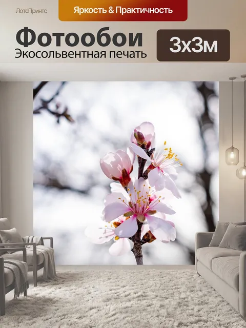 Фотообои Цветок миндаля