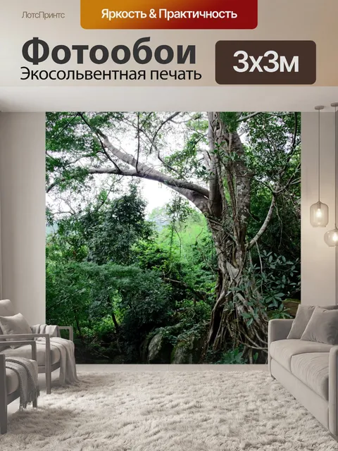 Фотообои Фа Луанг Водопад Лесопарк