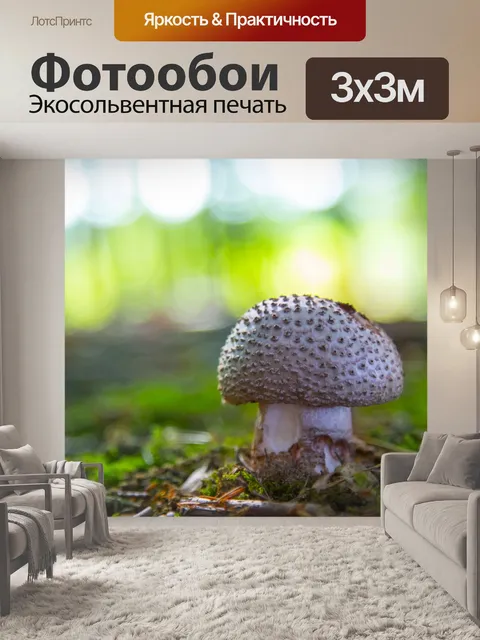 Фотообои грибы