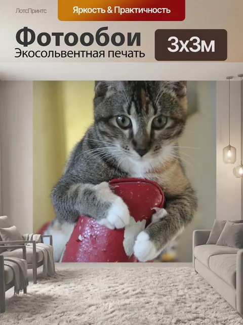 Фотообои Котенок