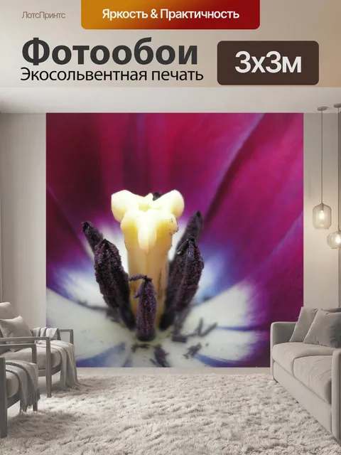 Фотообои Тюльпан 1