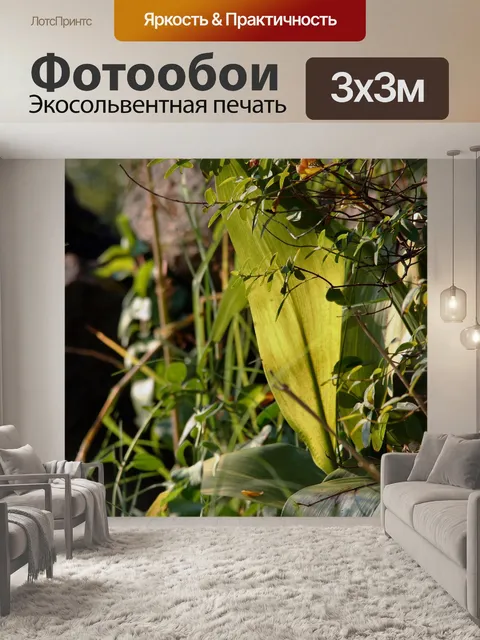 Фотообои листья в солнечном свете