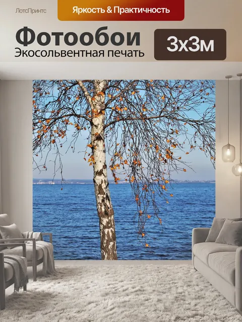 Фотообои Берёза