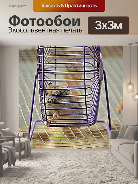 Фотообои Хомяк колеса (а)