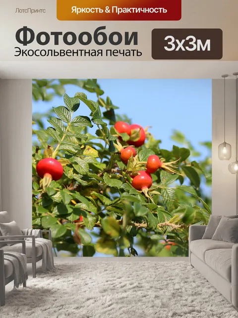 Фотообои Шиповник морщинистый