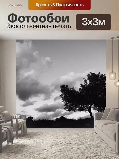 Фотообои Силуэт дерева против облаков