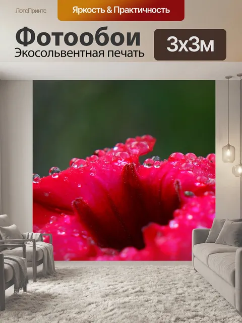 Фотообои Роса