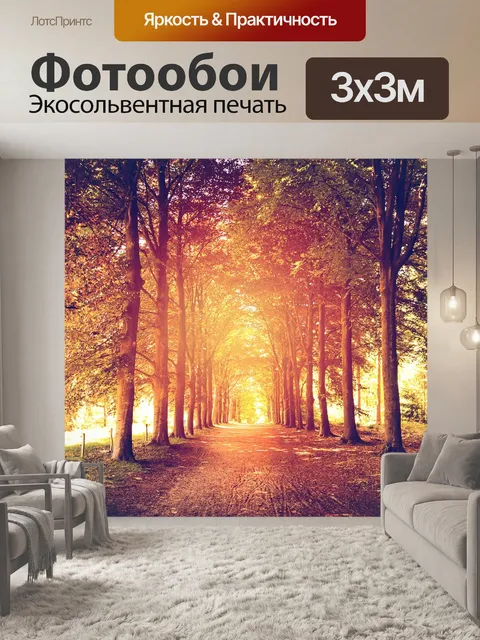 Фотообои Лес