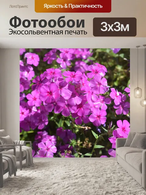 Фотообои Цветок шалфея