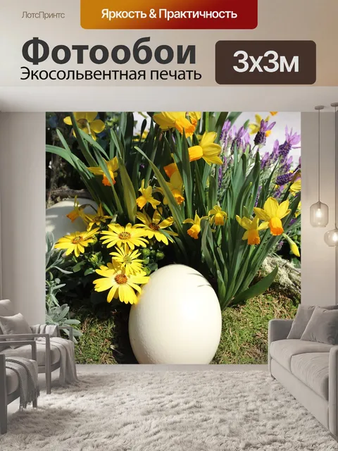 Фотообои Яйцо страуса