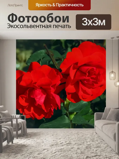 Фотообои Красный