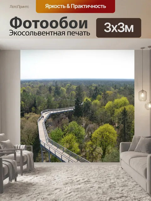 Фотообои Тропинка на верхушках деревьев