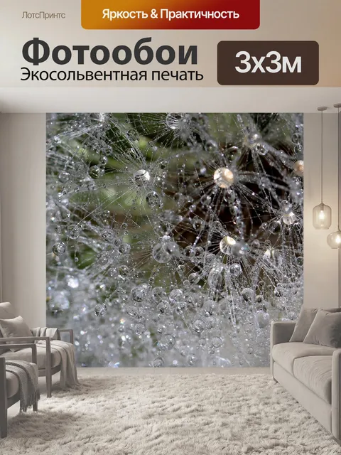 Фотообои Одуванчик