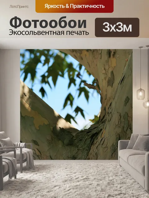 Фотообои клен ствол дерева