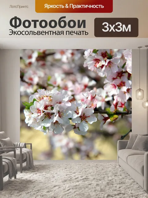 Фотообои Вишня