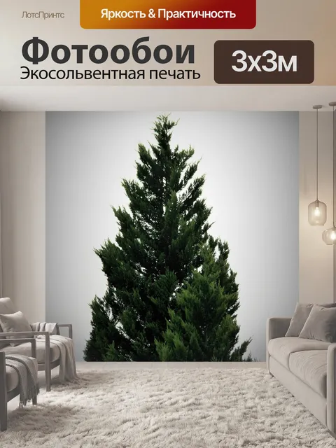 Фотообои кипарис