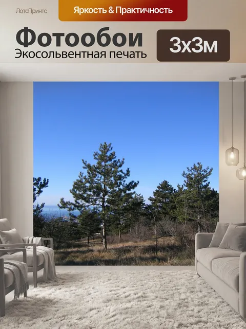 Фотообои Лес