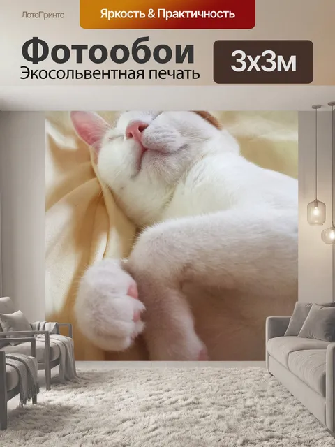 Фотообои Животное