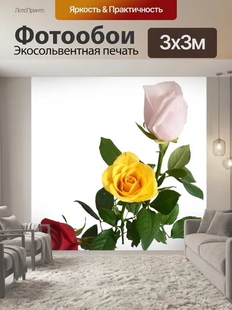 Фотообои Букет из роз