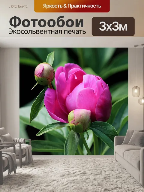 Фотообои Пион буд