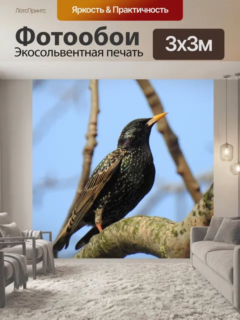Фотообои Птицы
